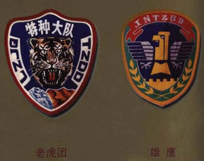 中国特种部队的臂章