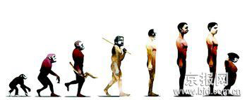 人类进化过程图