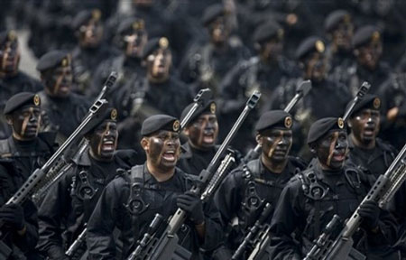 墨西哥在独立日国庆节举行盛大阅兵仪式(图)