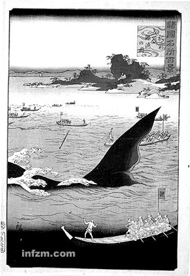 日本认为吃鲸有理的原因