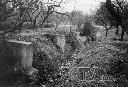 位于南京中山陵附近的梅花山被毁后的汪精卫墓地


