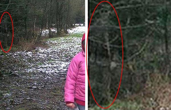圆树上骷髅：照片中似乎可以看到一个比较奇怪的骷髅，他正在随着过往行人奔跑。但怀疑者表示，这个骷髅鬼影可能只是树叶或者树枝的阴影混合形成的。