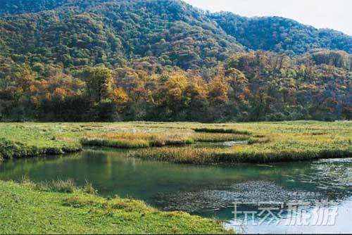 中国最美的六大湿地公园之首： 神农架大九湖国家湿地公园