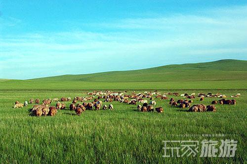 中国最美的六大草原之首：呼伦贝尔草原

