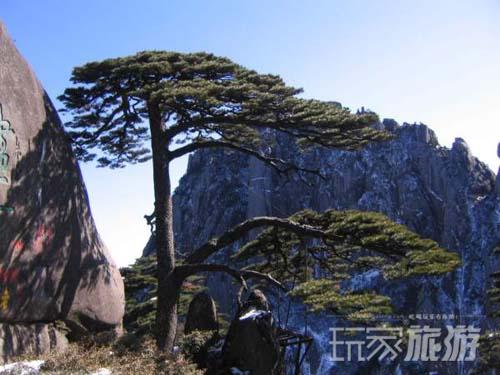 中国最美的十大名山之首：黄山