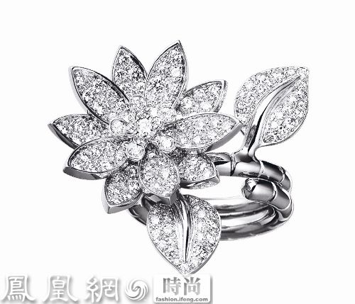 配戴 Van Cleef & Arpels 梵克雅宝的 Camelia 耳环 （镶嵌5.8克拉绿宝石及钻石）、Lotus钻石指间戒、以及 Zip Paris Trocedero 钻石戒指。
