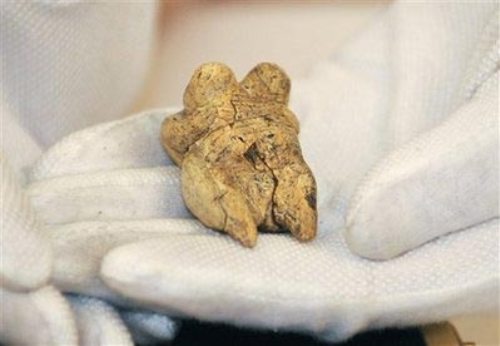 据英国媒体报道，科学家表示，在德国发现的用猛犸象牙雕成的外形奇特的雕塑应该是世界上有关人类外形的年代最为久远的描述。这个象牙雕展现了一个胸部、臀部异常丰满并且生殖器极为夸张的女性，距今至少3.5万年。 

    根据《自然》杂志的报道，象牙雕高6厘米，是在德国霍赫勒·菲尔斯(Hohle Fels)洞穴出土的最新发现。在此之前的发现包括精致的动物雕刻品以及一块可以充当“性玩具”的石头。在德国南部斯瓦比亚地区发现的类似文物的分布和复杂性促使一些研究人员相信，类似霍赫勒·菲尔斯这样的洞穴可能是早期艺术家的工作室。 