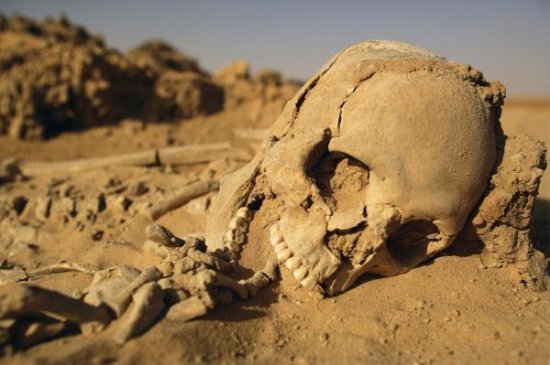 　　碳测年显示，这些遗骸属于泰内瑞人，它们生活在格比罗地区，当时的撒哈拉沙漠还是一片青翠的热带大草原。随着发掘工作的深入，研究人员最终发现了迄今为止撒哈拉沙漠中的一个最大的完整墓葬群。Sereno指出，研究人员同时还在这里发现了基斐安人的遗骸，他们生活的年代比泰内瑞人要早5000年左右。研究人员发现的这一大规模石器时代墓葬群，向人们展示了距今1万年至4000年间的绿色撒哈拉。