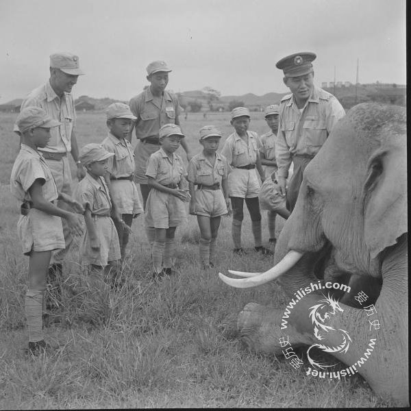 这是孙立人带着一群娃娃兵在看大象。