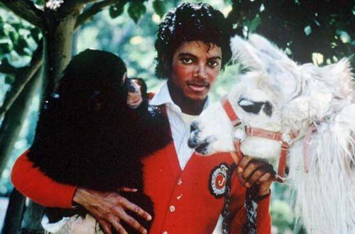 1983年，杰克逊爱上了猴子、羊驼，还有羊毛衫，那个年代一切都那么简单。
