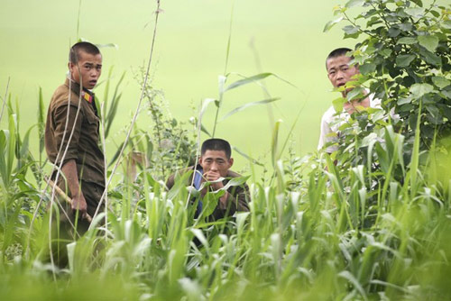 田地里的朝鲜军人