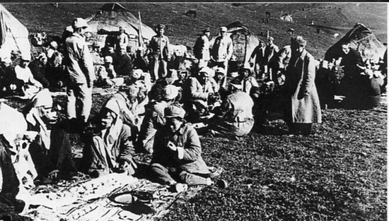 剿匪部队与当地哈萨克族牧民共进午餐 