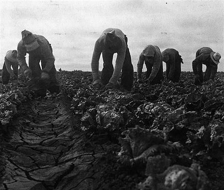 1929经济危机_1929年美国经济危机(2)