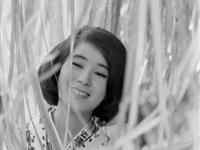 70年代日本美女写真(组图)