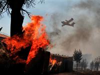 希腊森林火灾蔓延 多国飞机协助灭火[图集]