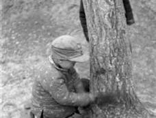 40年代饥荒：吃草根树皮果腹