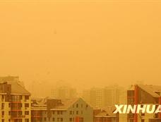 北京出现沙尘天气[图集]