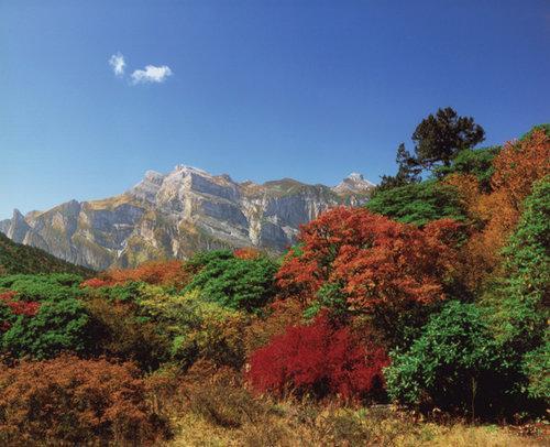 驴友共享 四川九顶山旅游路线全攻略\(图\)\(2\)