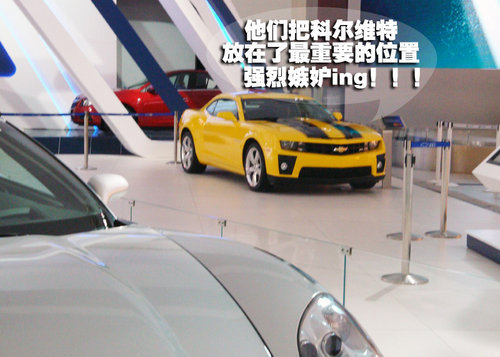 美国跑车-精神支柱 科尔维特亮相广州车展