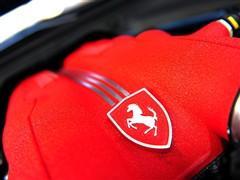 350万就够了 试驾法拉利California\(组图\)\(4\)