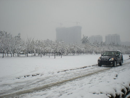 对抗罕见暴雪，瑞虎稳健显虎威