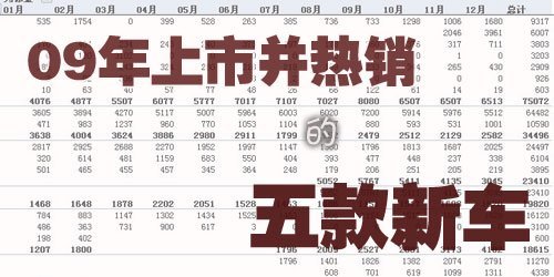 5个级别的成功案例 09年热销的五款新车