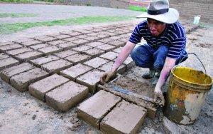 玻利维亚前部长酒后驾车 被判造砖头千块（图）