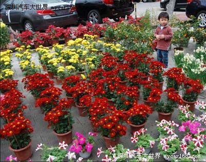 广汽丰田兆方店迎春花市圆满结束