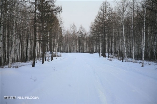 三马戏雪——悍马冬季漠河游\(4\)