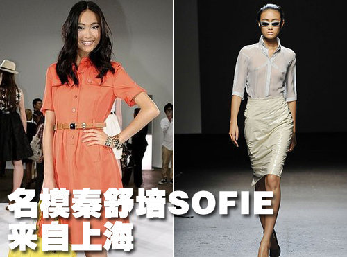 吴彦祖名模女友领衔 保时捷车展模特曝光\(3\)