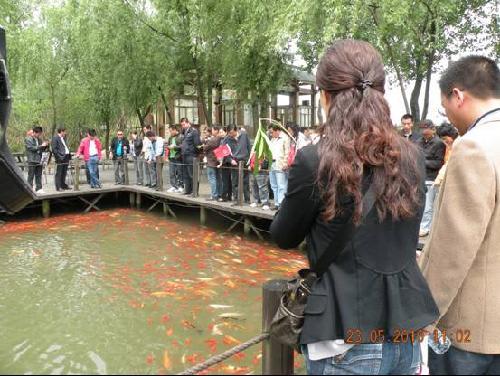 扬州鹰联盟 溱湖湿地自驾游