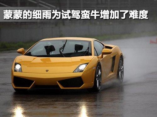 雨中试驾兰博基尼Gallardo LP550-2（图）