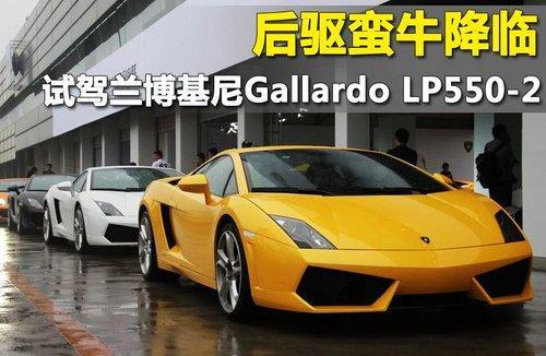 雨中试驾兰博基尼Gallardo LP550-2（图）