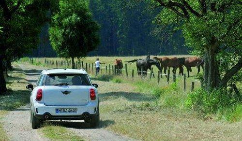 试驾MINI Cooper S Countryman 依旧迷你