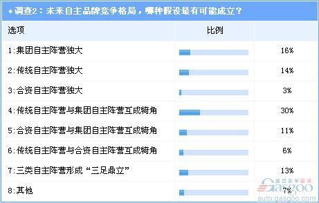 调查：新进者搅局 预言中国本土自主品牌竞争格局(4)