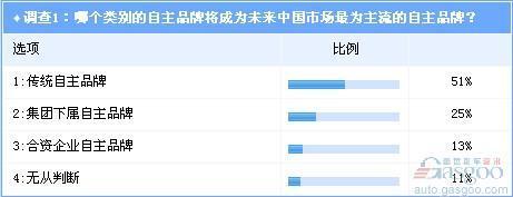 调查：新进者搅局 预言中国本土自主品牌竞争格局(4)