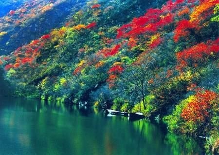 北京暖回秋 享受人少景美的彩色仙境(2)