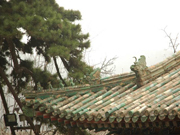 皇城天下—皇冠京城文化之旅