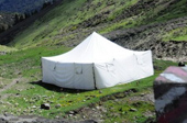 白帐篷