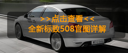 细数巴黎车展40款全球首发车 个个都与中国有联系(10)