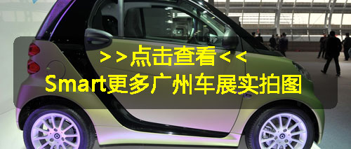 2011款Smart广州车展正式上市 售价11.5-22.5万