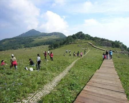 百花山自驾旅游攻略:曲径通幽 云雾如纱