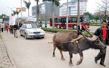 老牛拉车,中国车市深陷非制度性维权