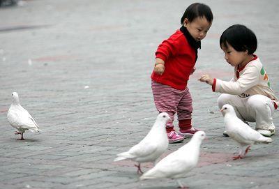 上海鼓励符合条件夫妻生二胎应对老龄化趋势