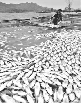 中国深陷水污染公共危机 黑色水图触及七大江河