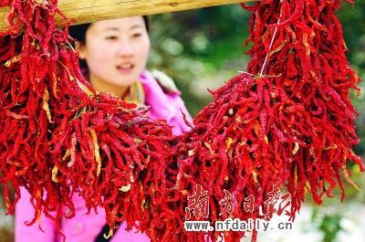 辣椒大蒜身价暴涨 谁是幕后推手