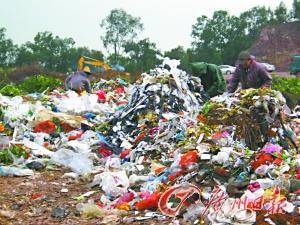广州番禺数个小区弥漫烧垃圾味 业主自发成立调查团