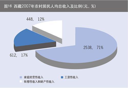 西藏经济社会发展报告\(3\)