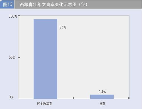 西藏经济社会发展报告\(3\)