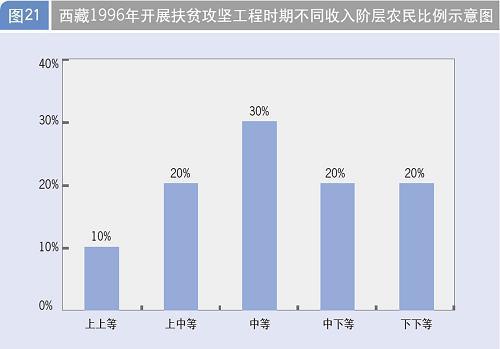 西藏经济社会发展报告\(5\)